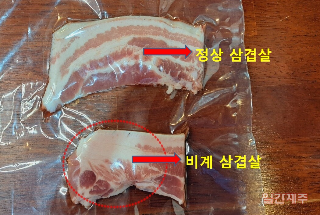 ▲ 문경운 전 도의원과 고석준 국장이 방송을 위해 직접 식육점에서 구해온 삼겹살 샘플(정상 삼겹살 VS 비계삼겹살)ⓒ일간제주