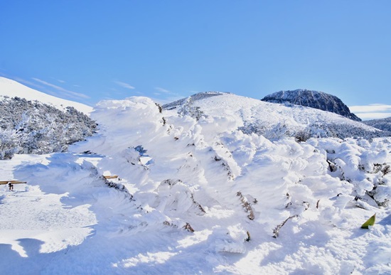  한라산에도 많은 눈이 쌓여 설경장관 모습ⓒ일간제주
