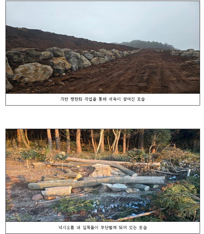 ▲ (사진-자치경찰단)ⓒ일간제주