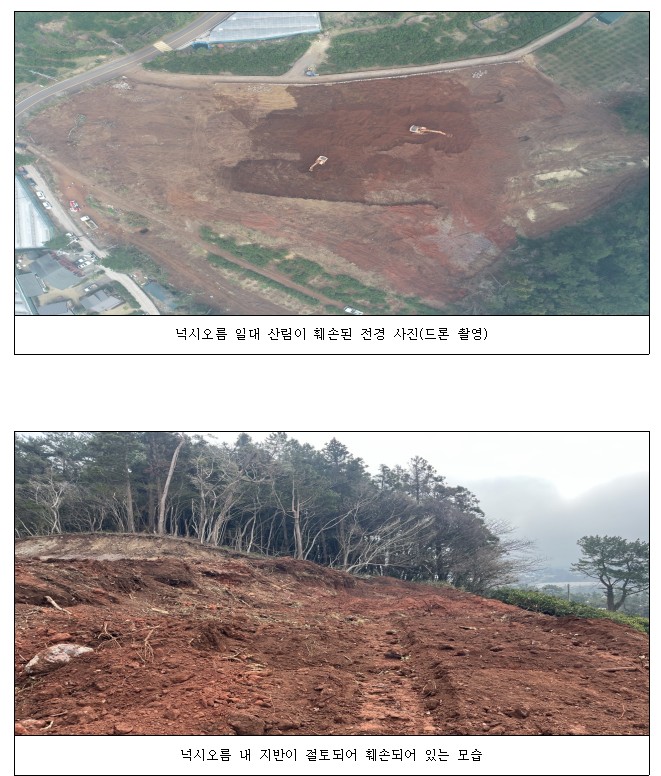 ▲ (사진-자치경찰단)ⓒ일간제주