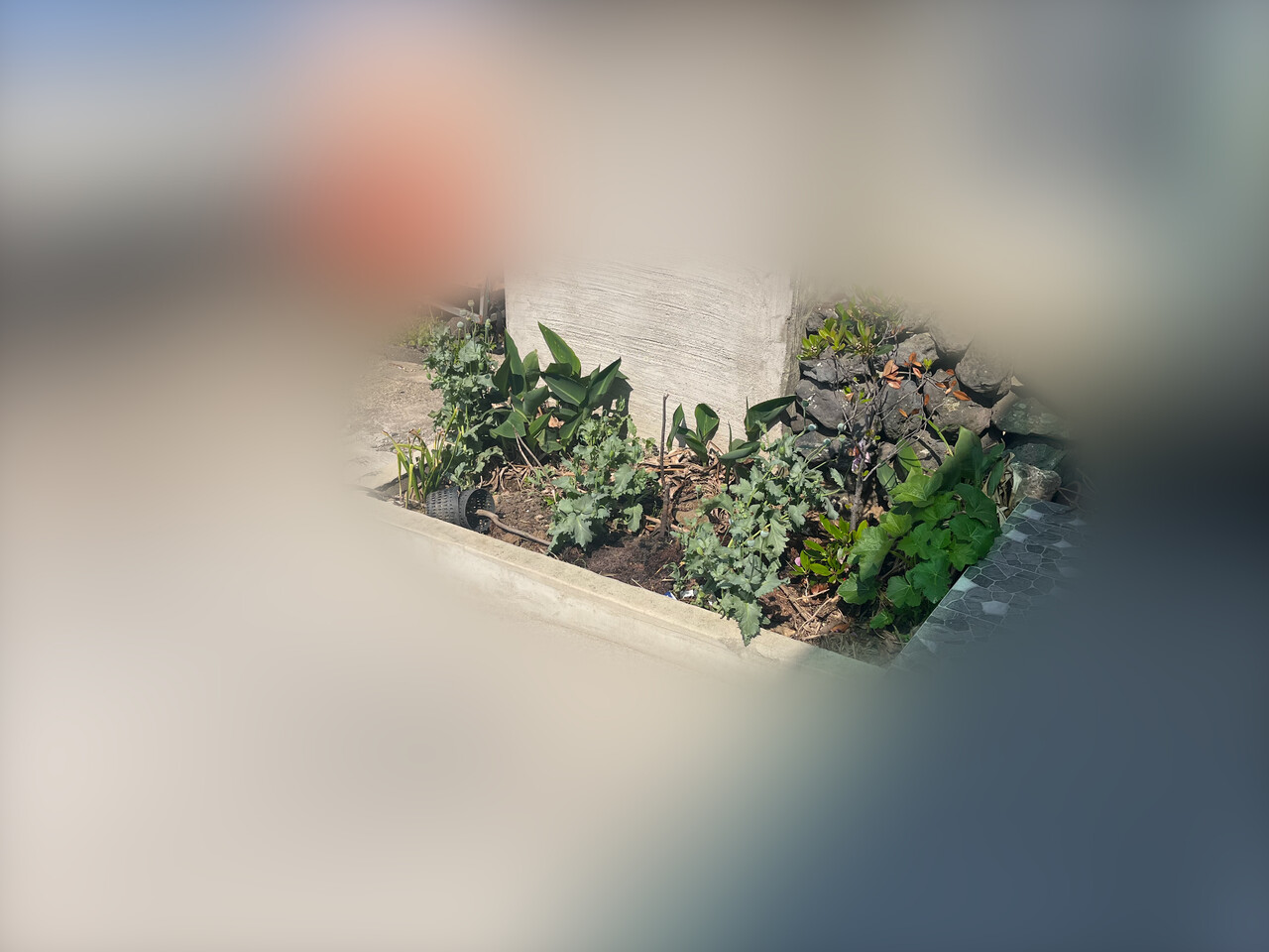 ▲ (사진-제주해경)ⓒ일간제주