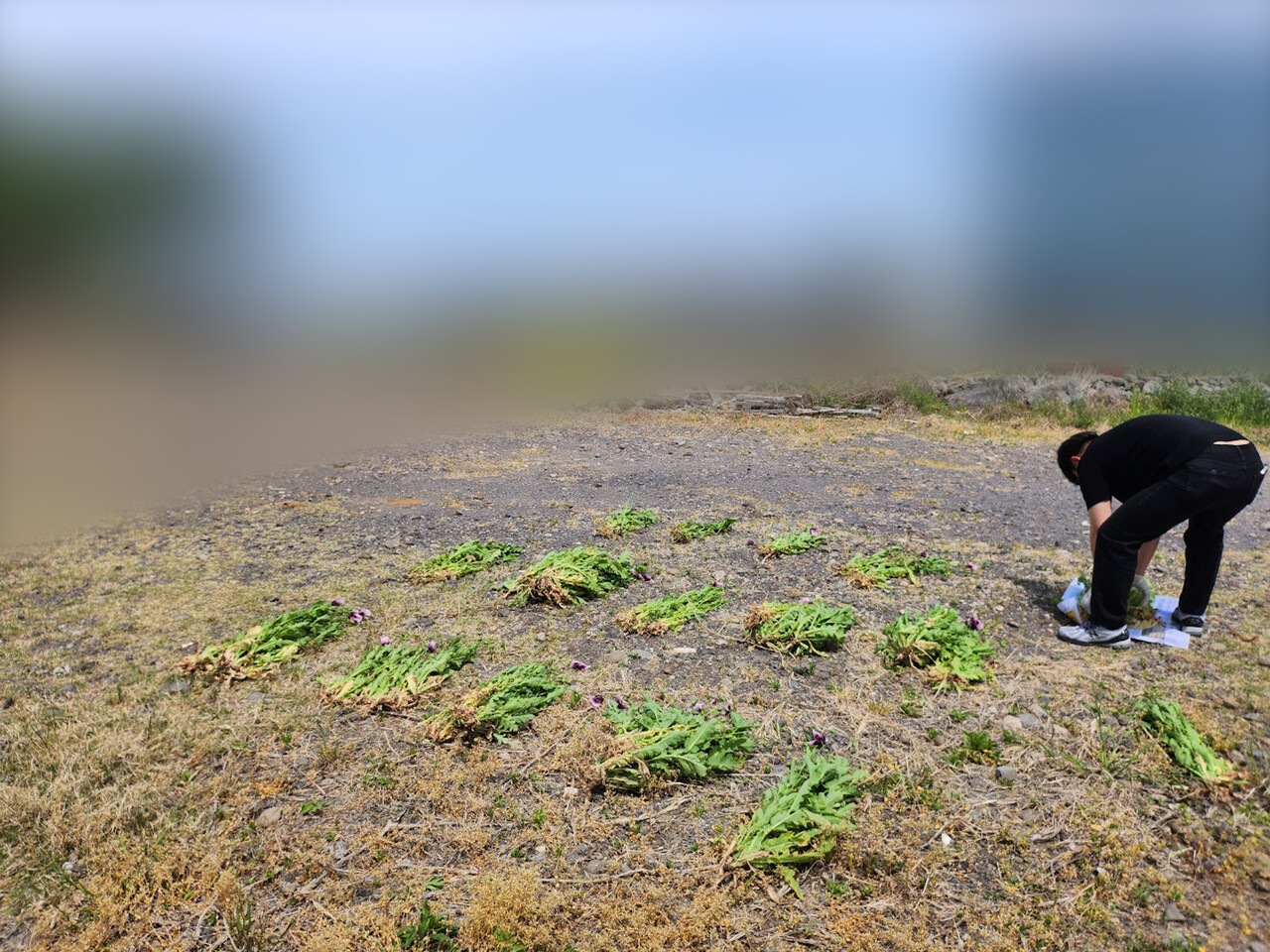 ▲ (사진-제주해경)ⓒ일간제주