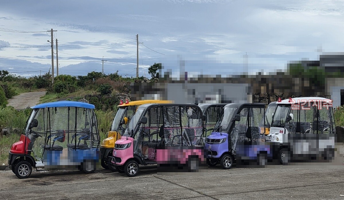 ▲ 현재 우도지역에는 27대의 골프카트가 반입돼 있는 상태...향후 30여대가량을 추가 도입할 것으로 전해지고 있다.ⓒ일간제주