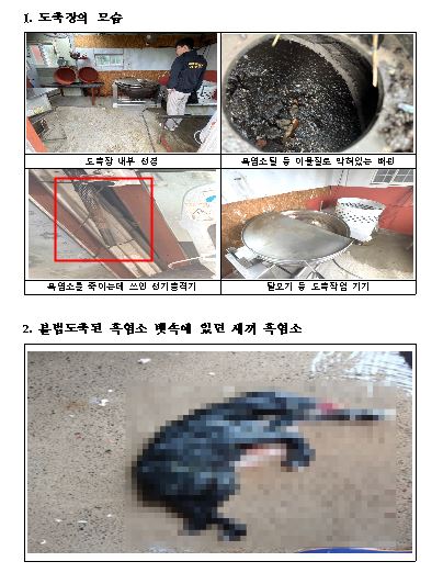 ▲ (사진-제주 자치경찰단)_ⓒ일간제주