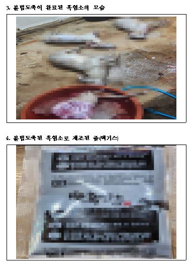 ▲ (사진-제주 자치경찰단)_ⓒ일간제주