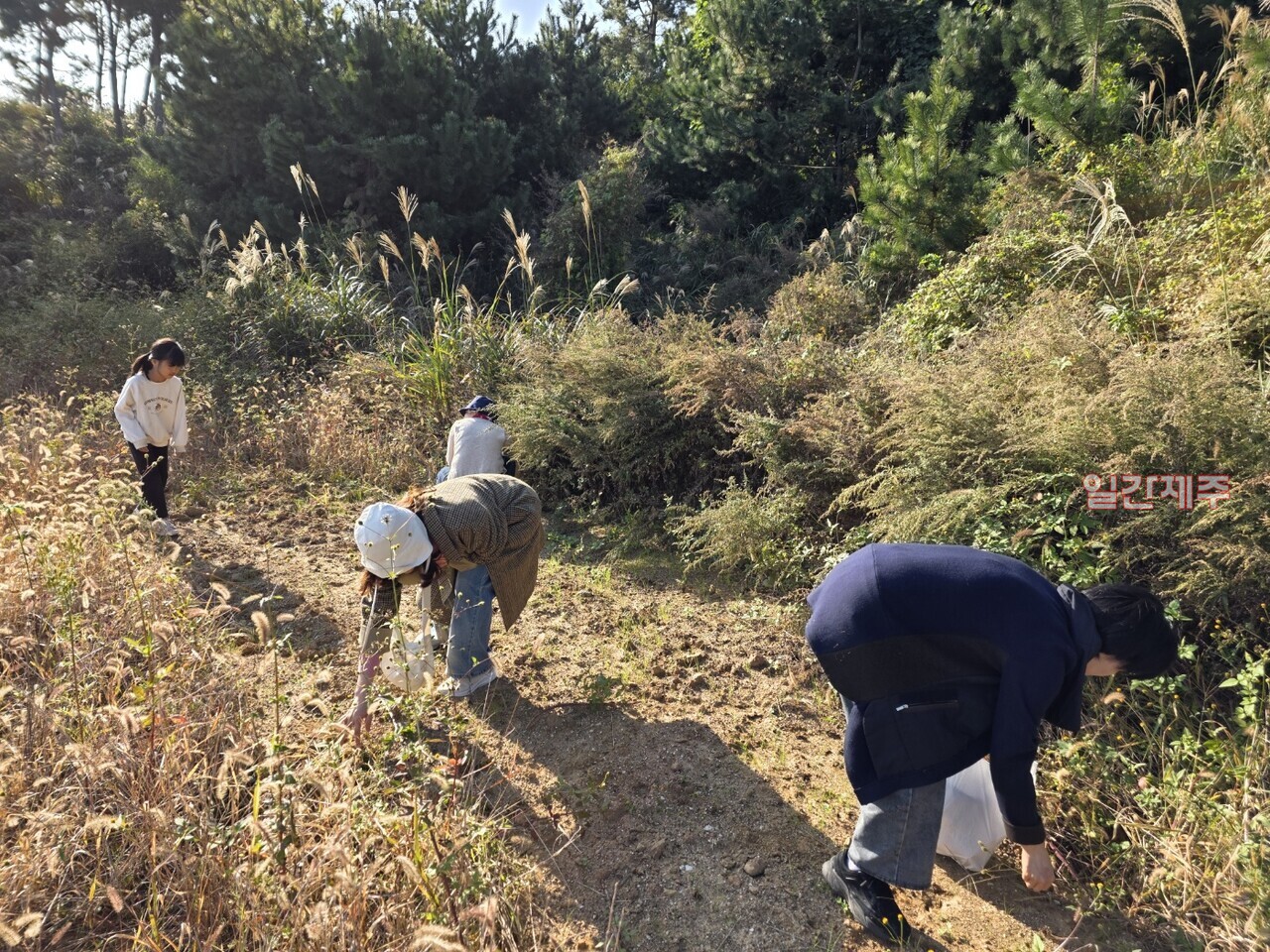 ▲ 거린사슴봉사회, 전라도 지역에서 1박2일 역량강화 워크숍 및 플로깅 캠페인 진행ⓒ일간제주