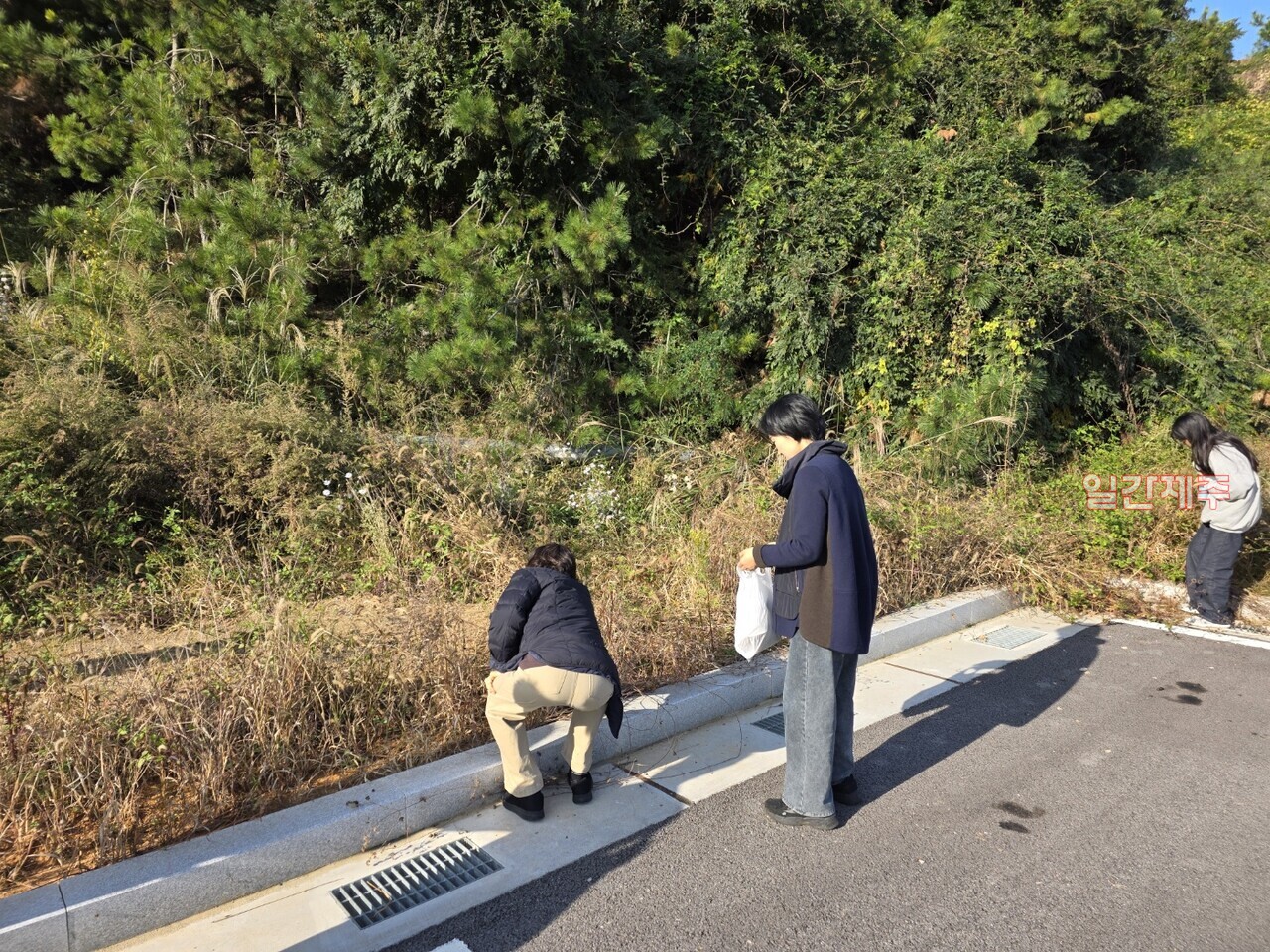 ▲ 거린사슴봉사회, 전라도 지역에서 1박2일 역량강화 워크숍 및 플로깅 캠페인 진행ⓒ일간제주