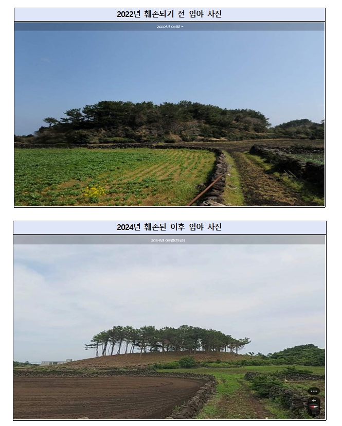 ▲(사진 - 제주자치경찰단)ⓒ일간제주