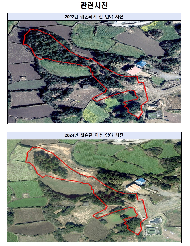 ▲(사진 - 제주자치경찰단)ⓒ일간제주